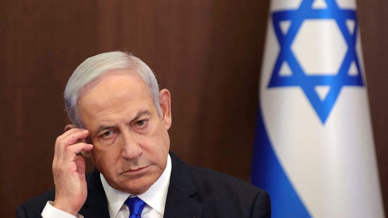 Bibi-800x450.jpg