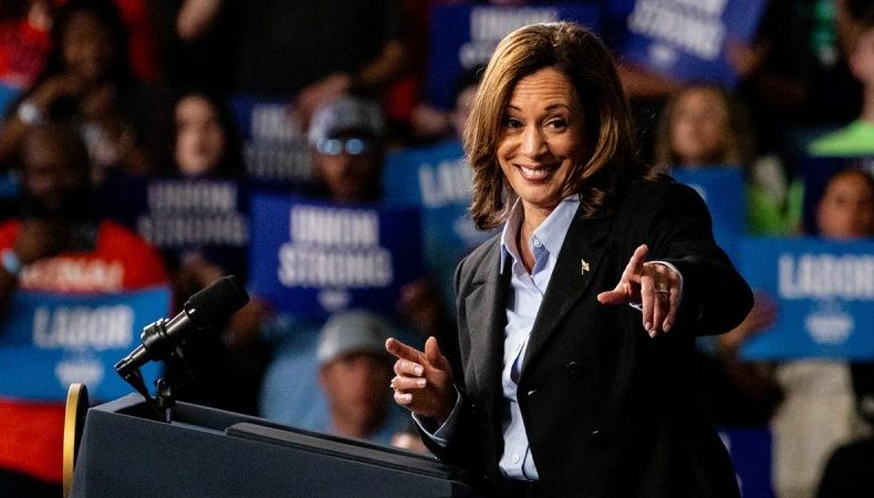 KamalaHarris9224-800x450.jpg