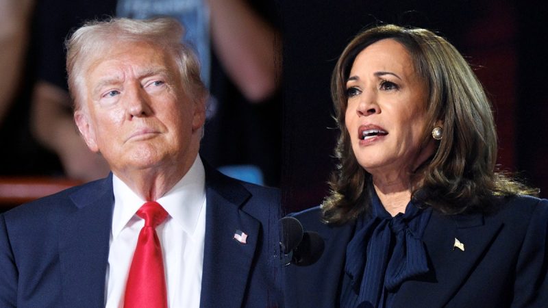 trump-harris-split2-3-800x450.jpg